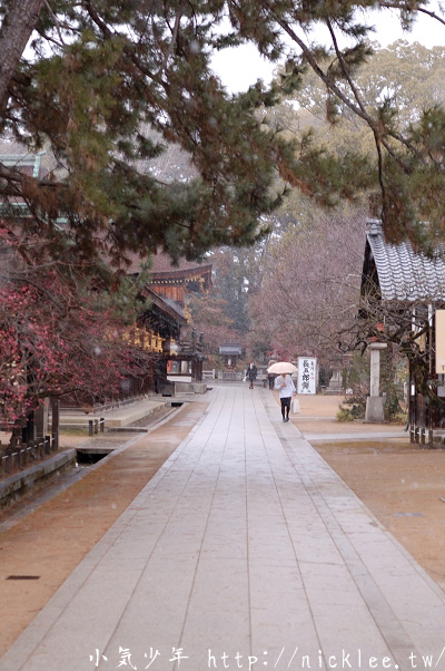 京都北野天滿宮-全日本1萬2千座天滿宮的總本社，也是京都賞梅景點