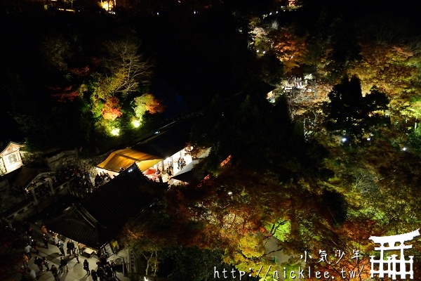 京都夜楓-清水寺夜楓-來京都賞楓不可錯過的夜楓景點