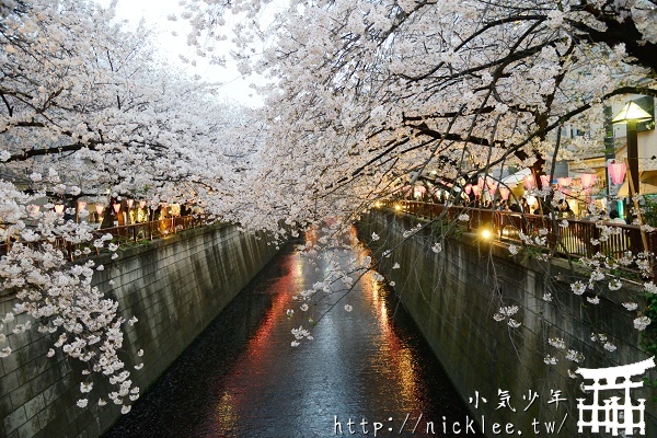 目黑川夜櫻-東京夜櫻第一推薦-3.8公里長的櫻花隧道，不少攤販聚集，這就是櫻花祭的味道