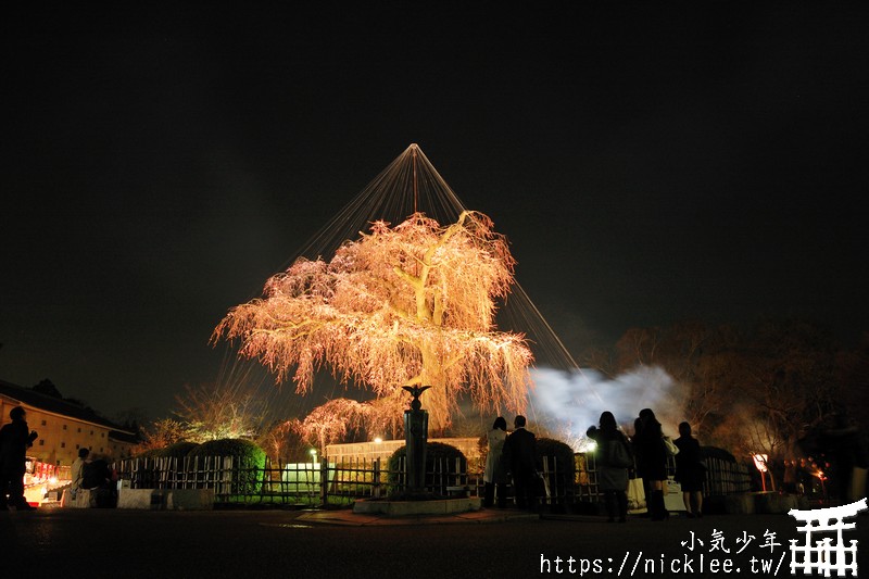 2024關西夜櫻資訊-京阪神奈的夜櫻情報-推薦京都市區內的免費夜櫻景點(3/5更新)