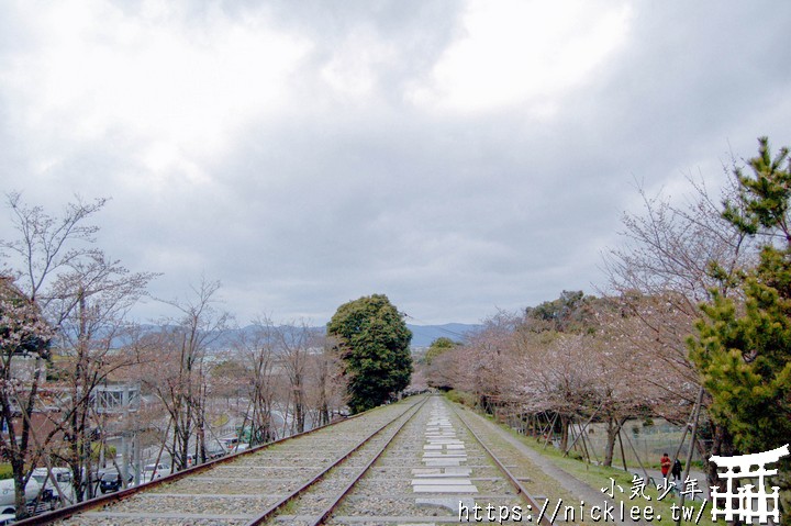 蹴上傾斜鐵道櫻花與南禪寺三門-不小心遇見的櫻花景點