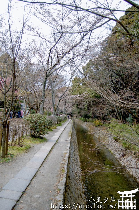 哲學之道-京都賞櫻第一名的景點