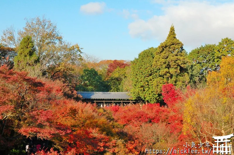 可與伏見稻荷大社一起安排的景點-東福寺