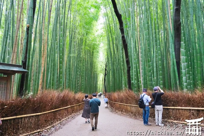 京都嵐山景點-嵐山竹林(嵯峨野竹林,竹林小徑)與祈求良緣與學業成就的野宮神社