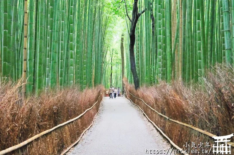 京都嵐山景點-嵐山竹林(嵯峨野竹林,竹林小徑)與祈求良緣與學業成就的野宮神社