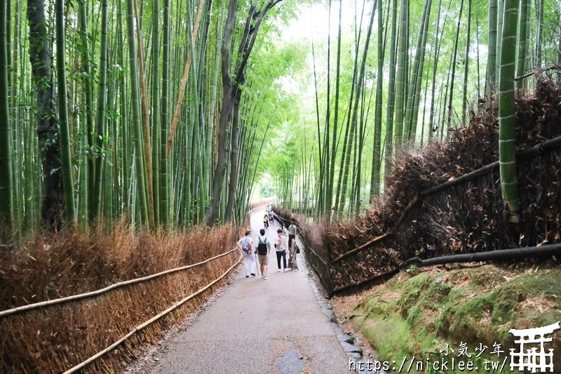 京都嵐山景點-嵐山竹林(嵯峨野竹林,竹林小徑)與祈求良緣與學業成就的野宮神社