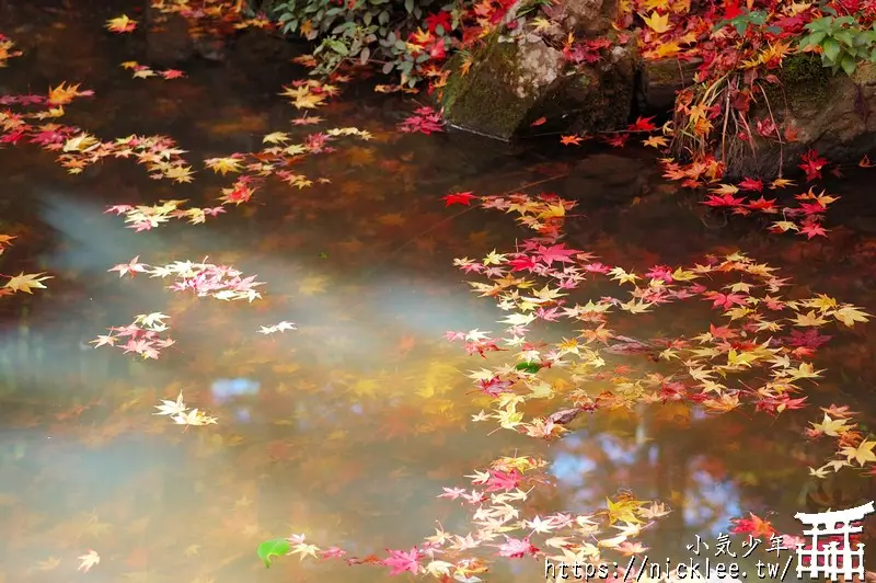 京都嵐山景點-常寂光寺-京都知名的賞楓名所-推薦賞楓新手來嵐山必看
