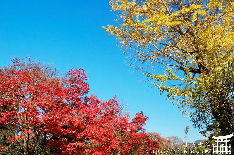 京都嵐山景點-常寂光寺-京都知名的賞楓名所-推薦賞楓新手來嵐山必看