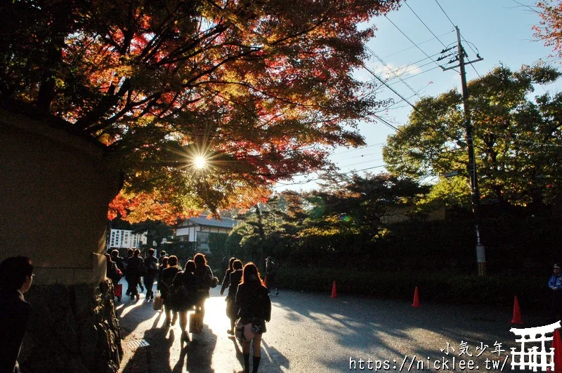 京都賞楓第一名-東福寺-通天橋紅葉必看