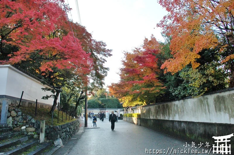 京都賞楓第一名-東福寺-通天橋紅葉必看