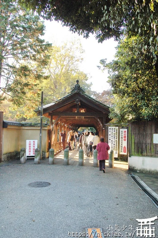 京都賞楓第一名-東福寺-通天橋紅葉必看