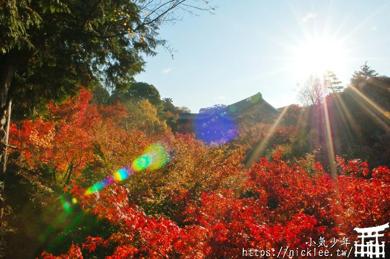 京都賞楓第一名-東福寺-通天橋紅葉必看