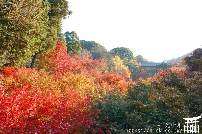 京都賞楓第一名-東福寺-通天橋紅葉必看