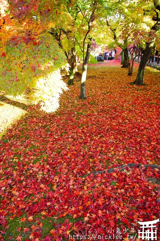 京都賞楓第一名-東福寺-通天橋紅葉必看