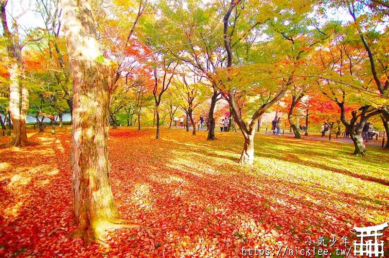 京都賞楓第一名-東福寺-通天橋紅葉必看