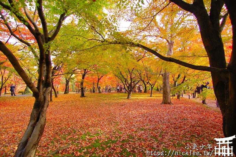 京都賞楓第一名-東福寺-通天橋紅葉必看