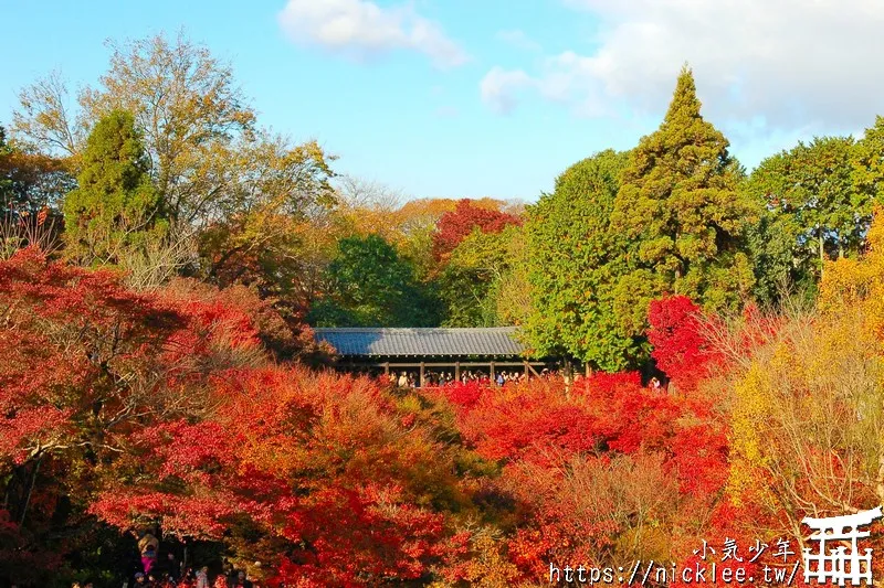 京都賞楓第一名-東福寺-通天橋紅葉必看