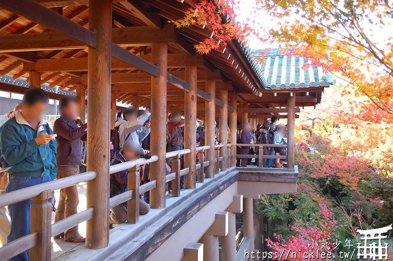 京都賞楓第一名-東福寺-通天橋紅葉必看