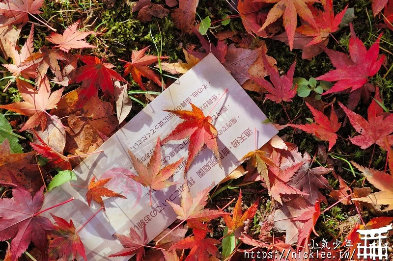 京都賞楓第一名-東福寺-通天橋紅葉必看