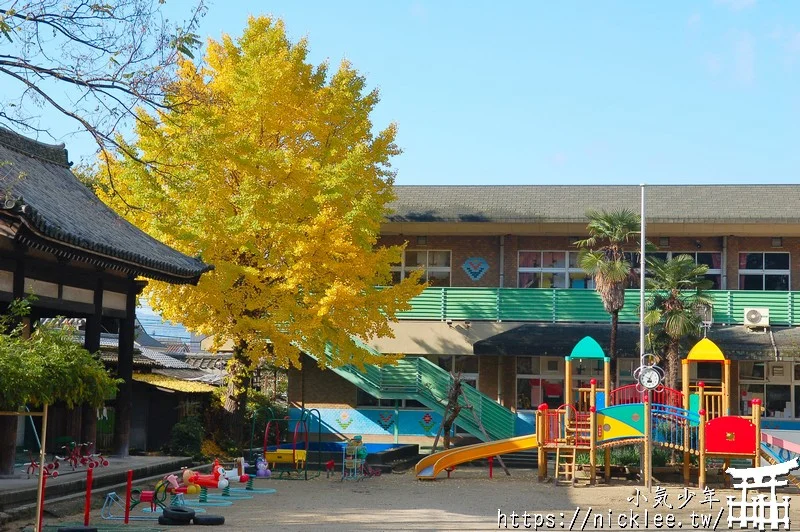 京都賞楓第一名-東福寺-通天橋紅葉必看