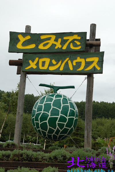 【北海道】九月的富田農場