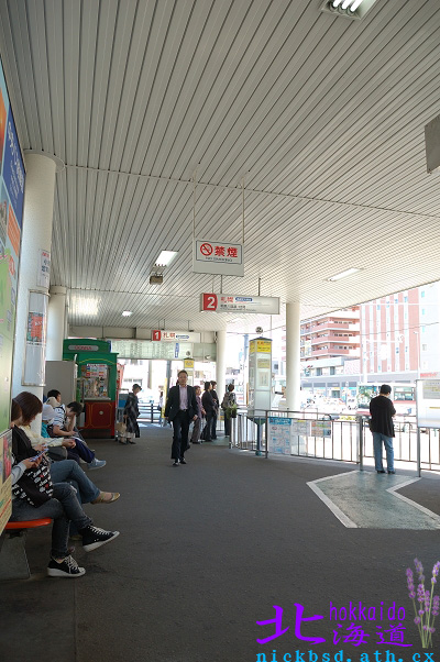 北海道小樽景點-三角市場、小樽都通商店街與鱗友朝市