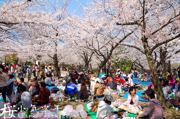 大阪城賞櫻與西之丸庭園