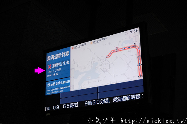 從京都車站坐Haruka到關西機場