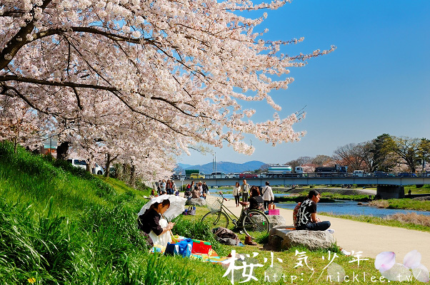 京都街景-半木之道-鴨川河岸睡午覺