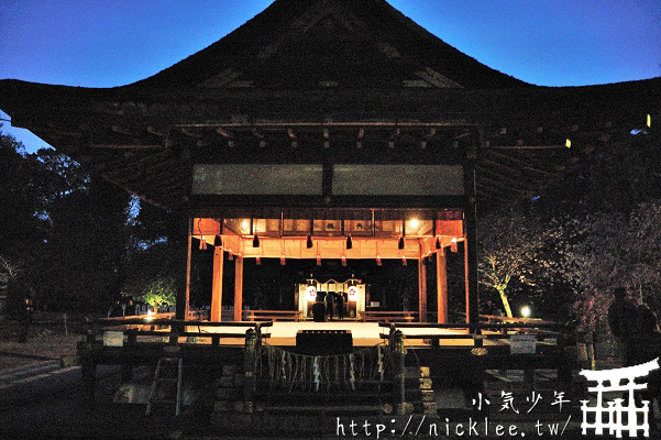 京都賞櫻-平野神社夜櫻