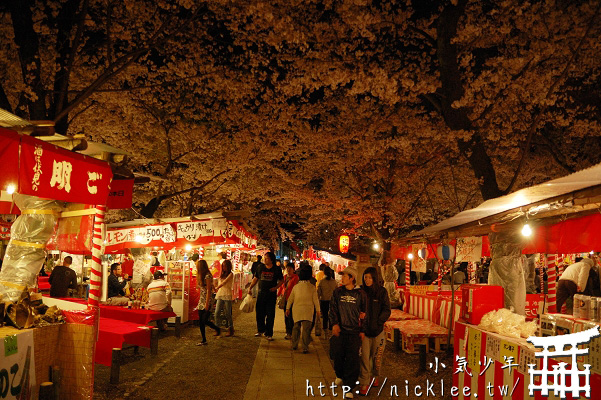 平野神社夜櫻-從3月下旬到4月下旬都可看到櫻花的京都賞櫻名所