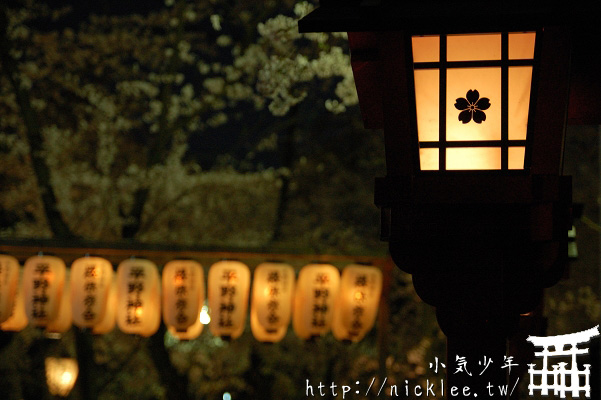 平野神社夜櫻-從3月下旬到4月下旬都可看到櫻花的京都賞櫻名所