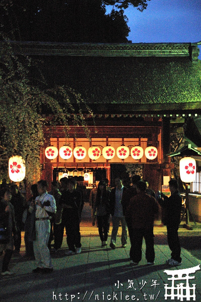 京都賞櫻-平野神社夜櫻