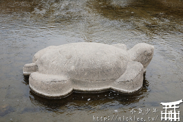 京都-到鴨川跳烏龜