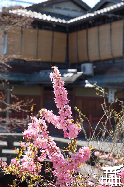 京都街景-五条樂園