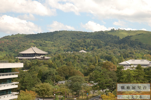 【奈良景點】縣廳展望台-可眺望若草山與奈良市區