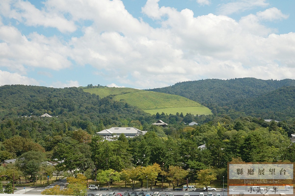 【奈良景點】縣廳展望台-可眺望若草山與奈良市區