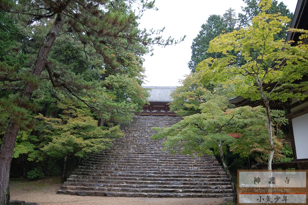 京都夏天-神護寺