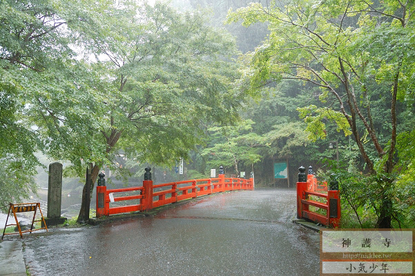 京都夏天-神護寺