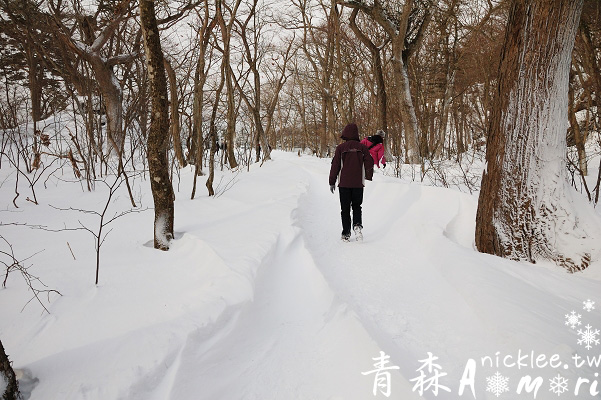 【青森縣】冬天的十和田湖散策