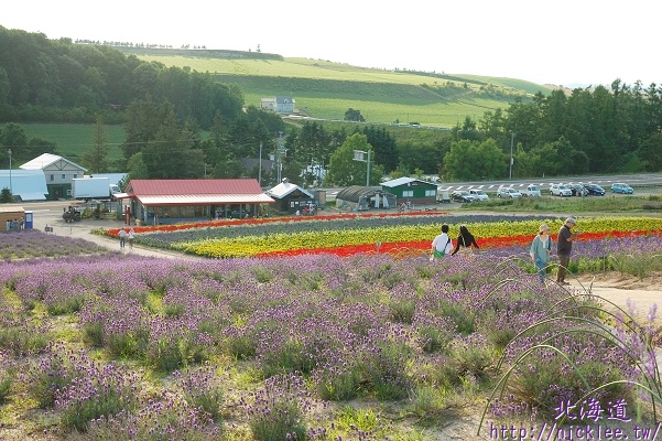 【北海道】上富良野町的薰衣草花園-菅野農場