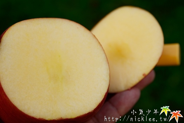 【山形縣】王將果樹園-採蘋果體驗
