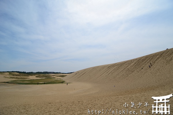 【鳥取縣】日本也有沙漠-鳥取砂丘