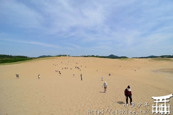 【鳥取縣】日本也有沙漠-鳥取砂丘