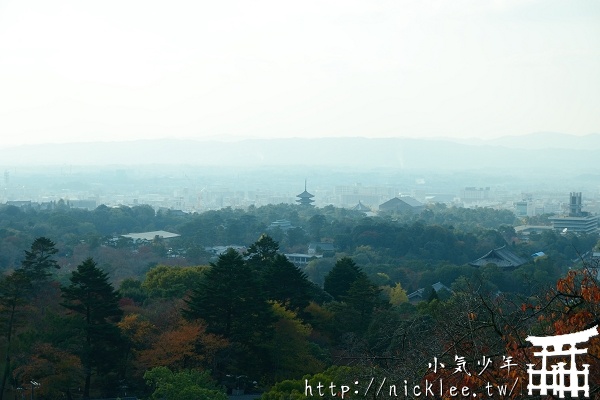 眺望奈良市區的好地方-奈良公園若草山