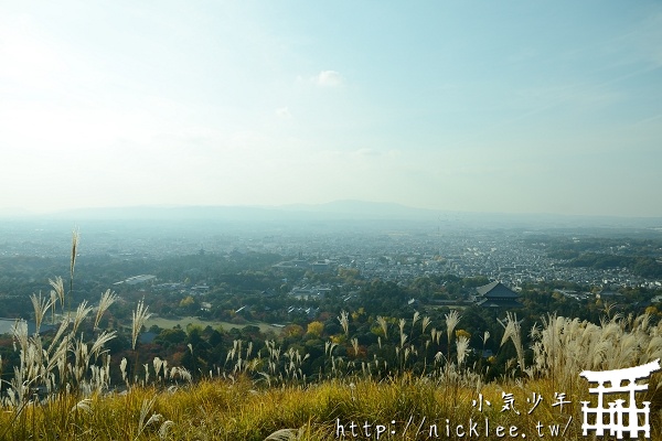 眺望奈良市區的好地方-奈良公園若草山