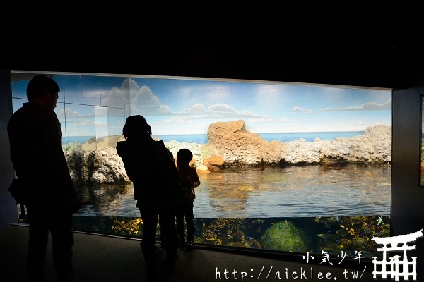 大阪海遊館-大人小孩都喜歡的親子景點
