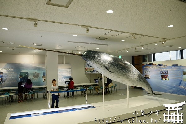 大阪海遊館-大人小孩都喜歡的親子景點
