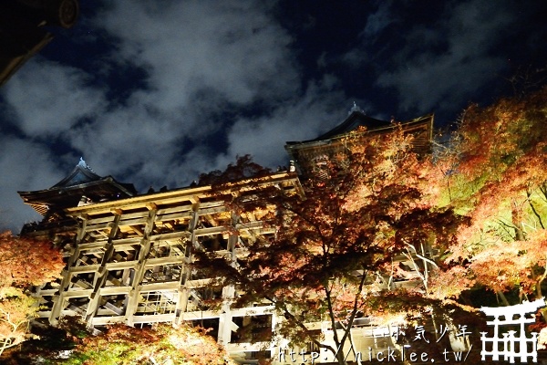 京都夜楓-清水寺夜楓