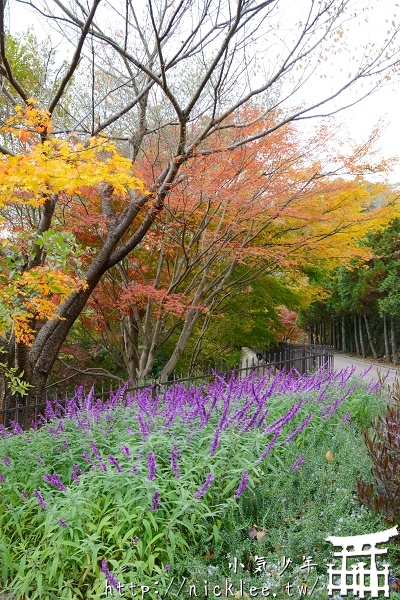 神戶布引香草花園